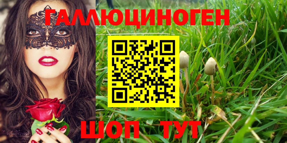 Галлюциногенные грибы мухоморы  купить наркотики цена  Новомосковск  Вход с VPN 